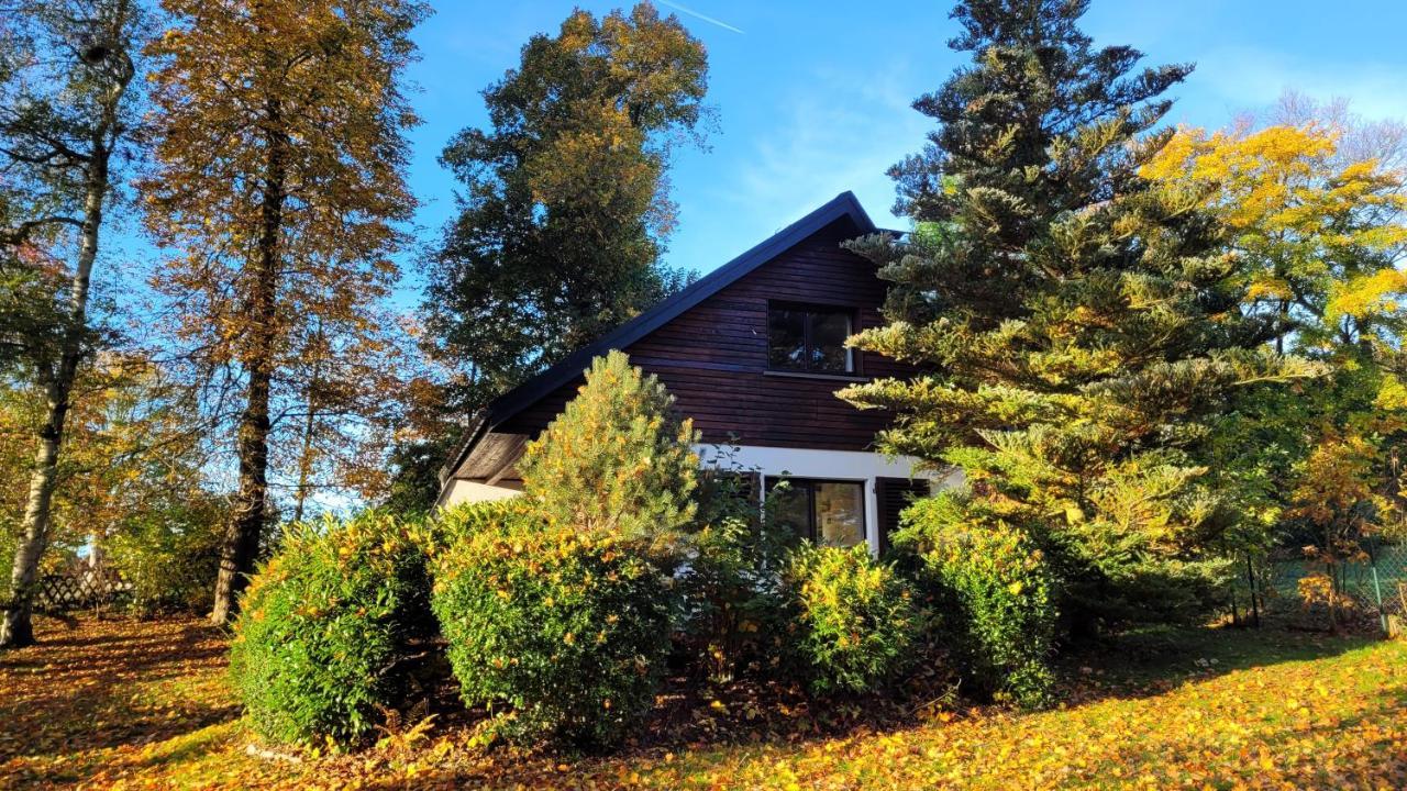 Villa Ferienhaus Drebach Extérieur photo